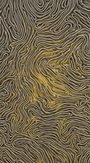 Your Cells Refill
